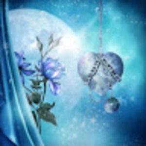 Meet your Posher, Marci